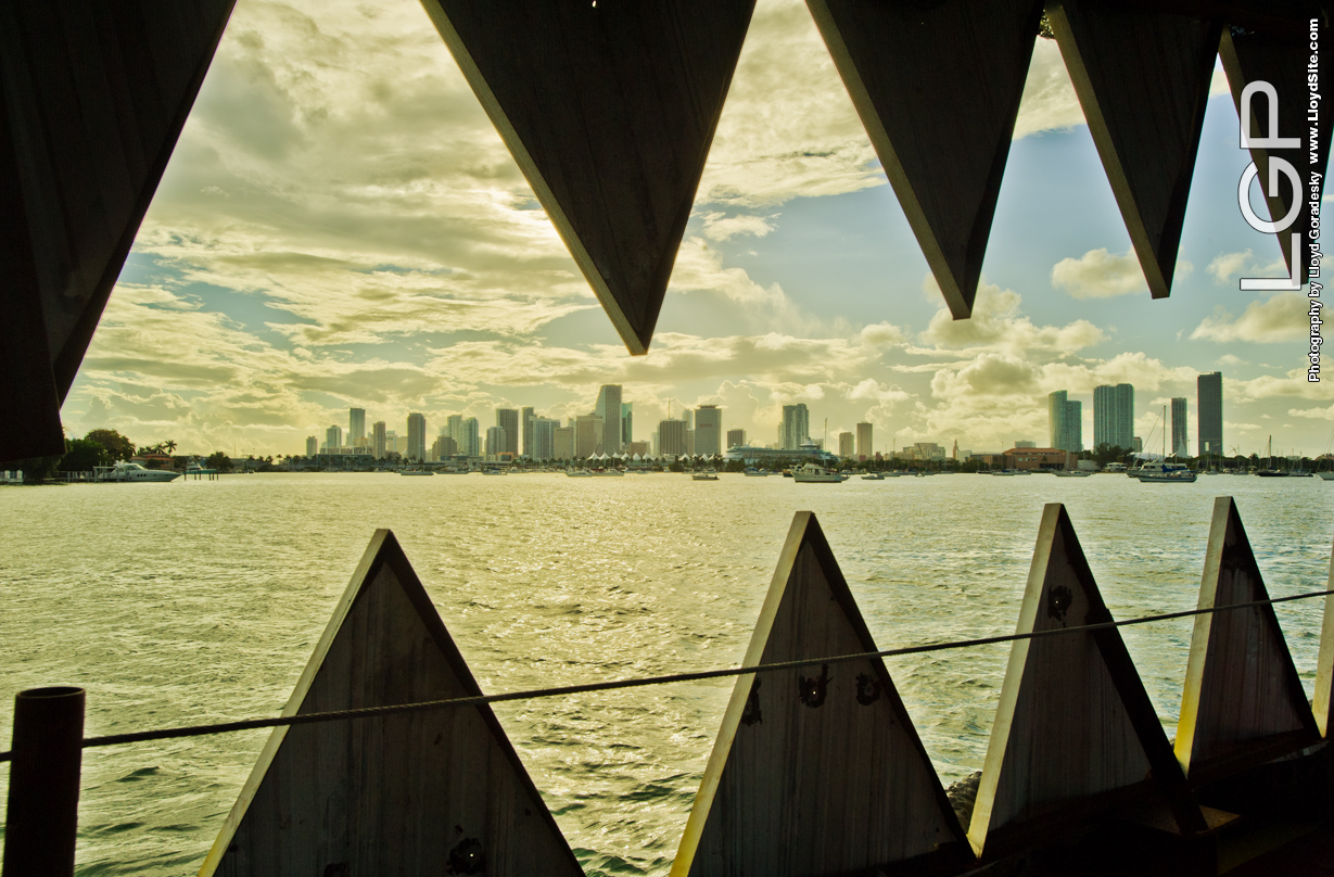 Gator teeth framing the Miami skyline