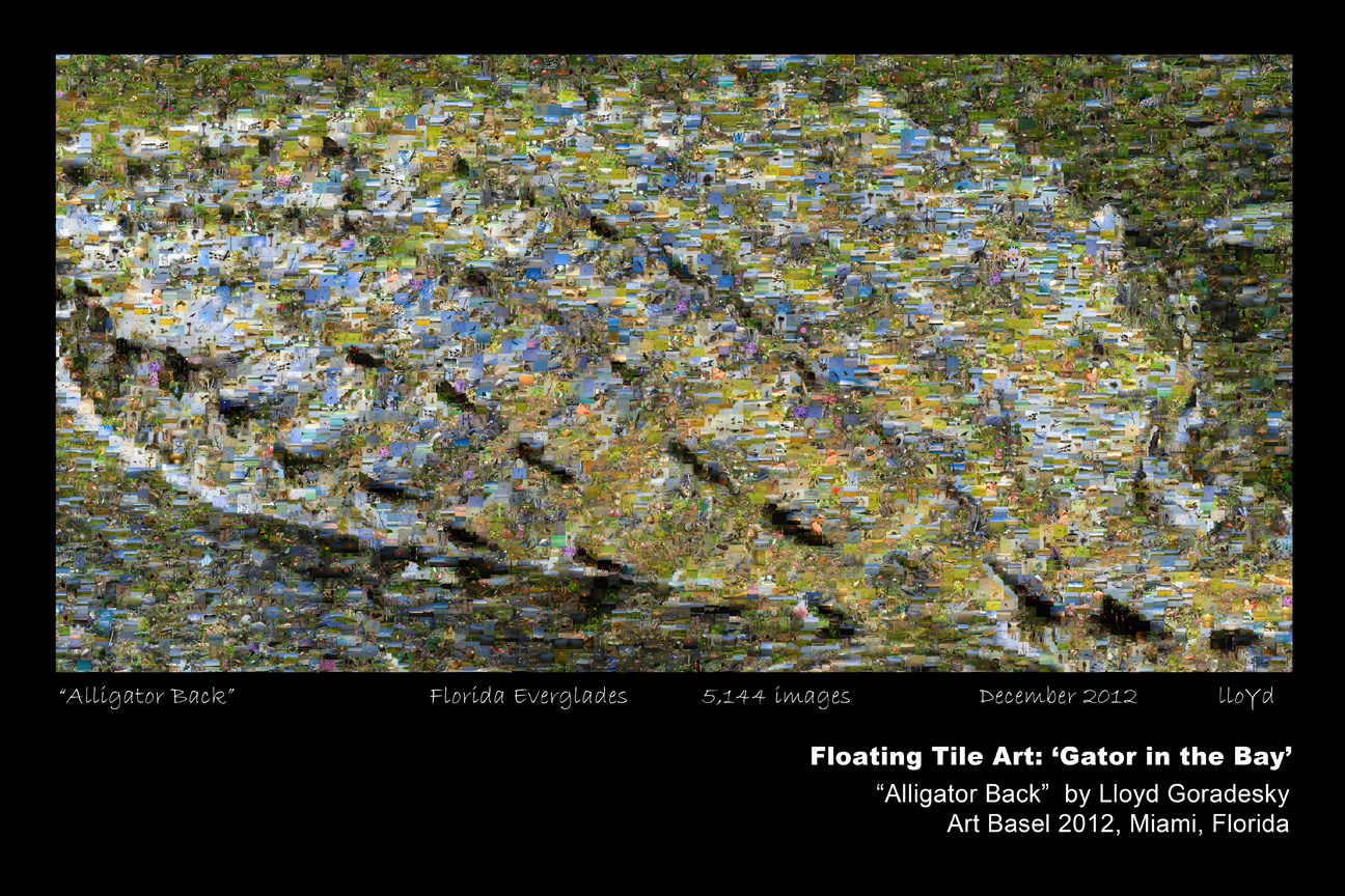 Alligator back commemorative poster