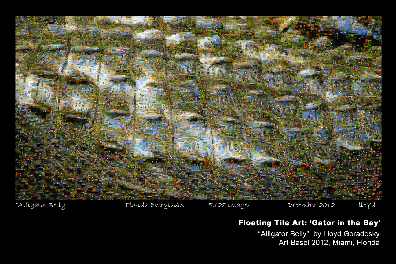 Alligator belly commemorative poster