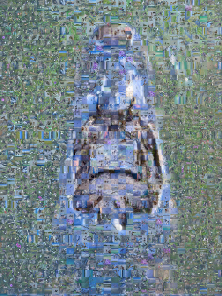 Alligator head photo mosaic tile